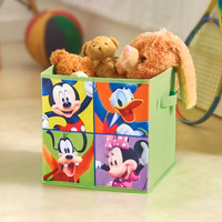 Organi Cubo Mickey