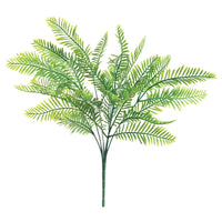 Deco Planta Helecho