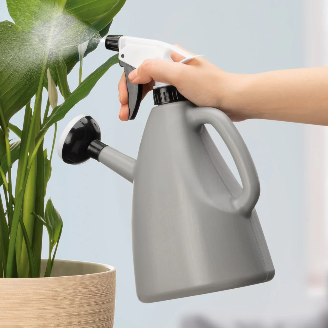 Riega Spray