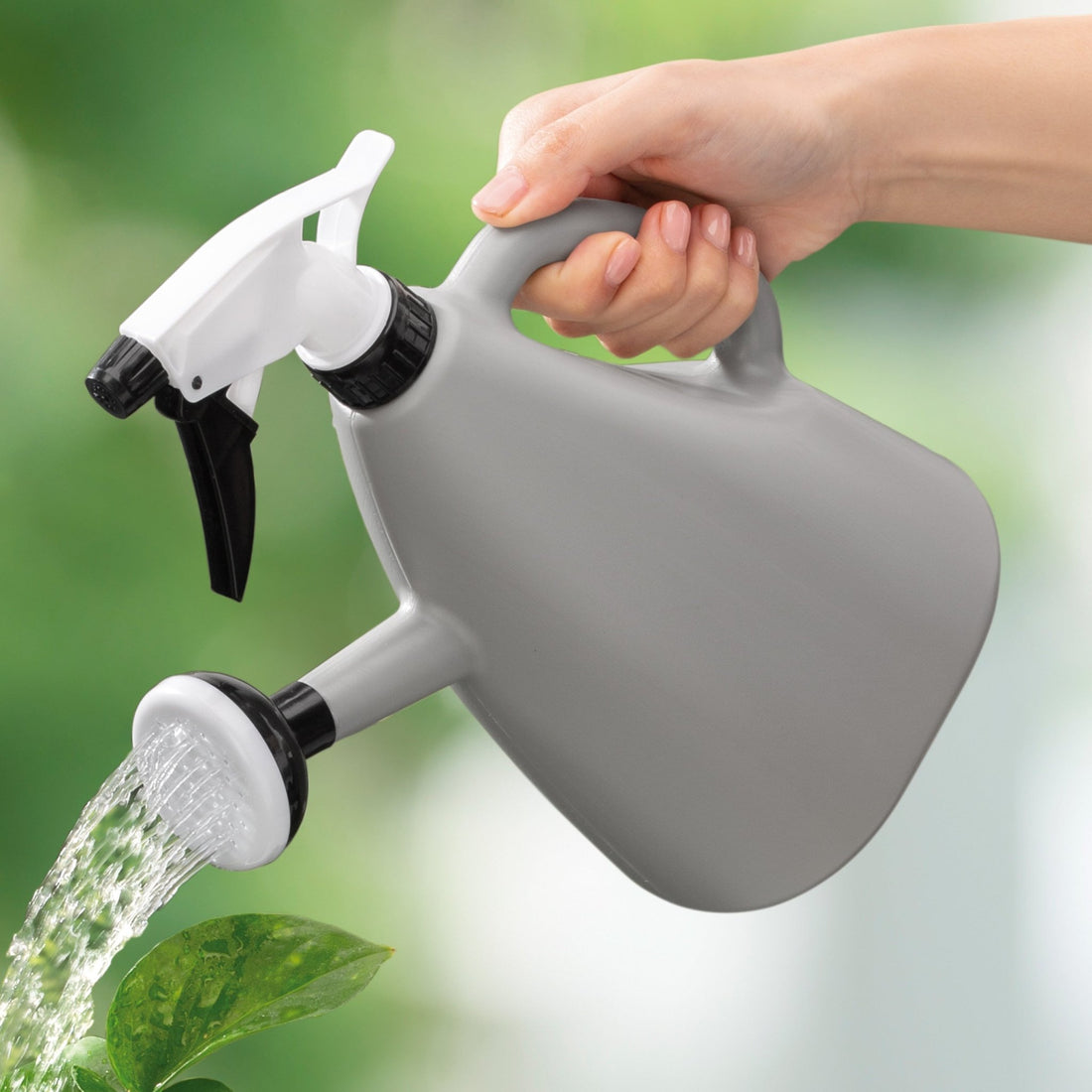 Riega Spray