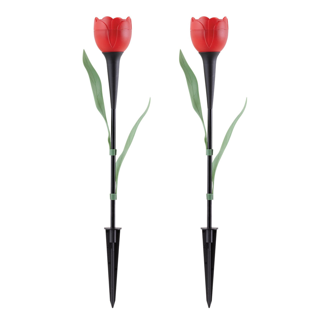 Rosa Solar (2 pzs)