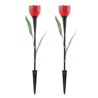Rosa Solar (2 pzs)