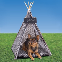 Tipi Mascota