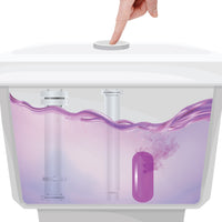 Limpia WC Lavanda