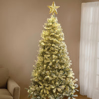 Estrella Cascada Magic