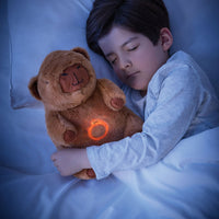 Capibara Dulces Sueños