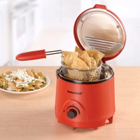 Deli Fryer