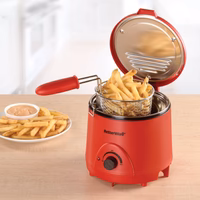 Deli Fryer