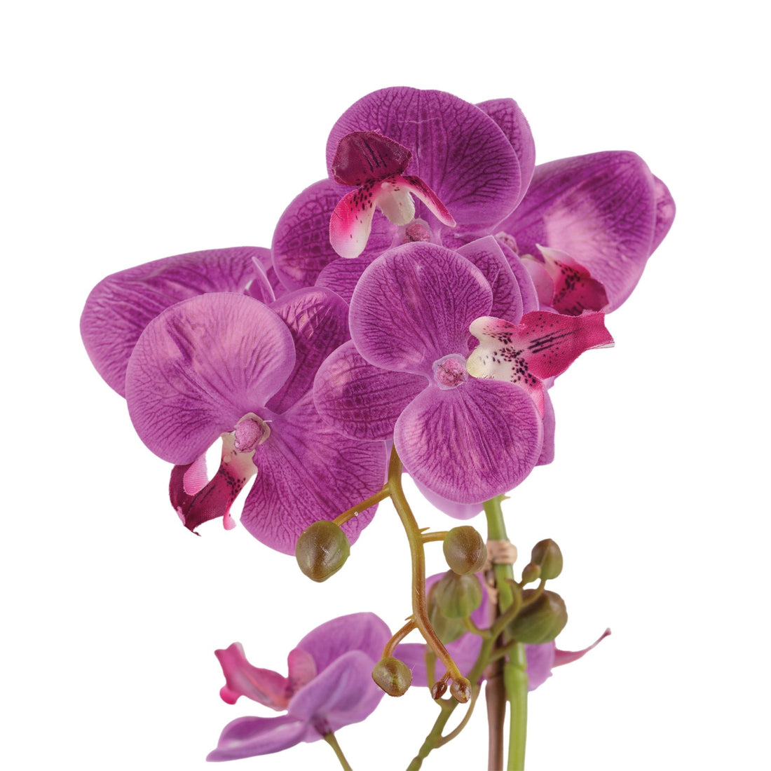 Deco Orquídea Purpura