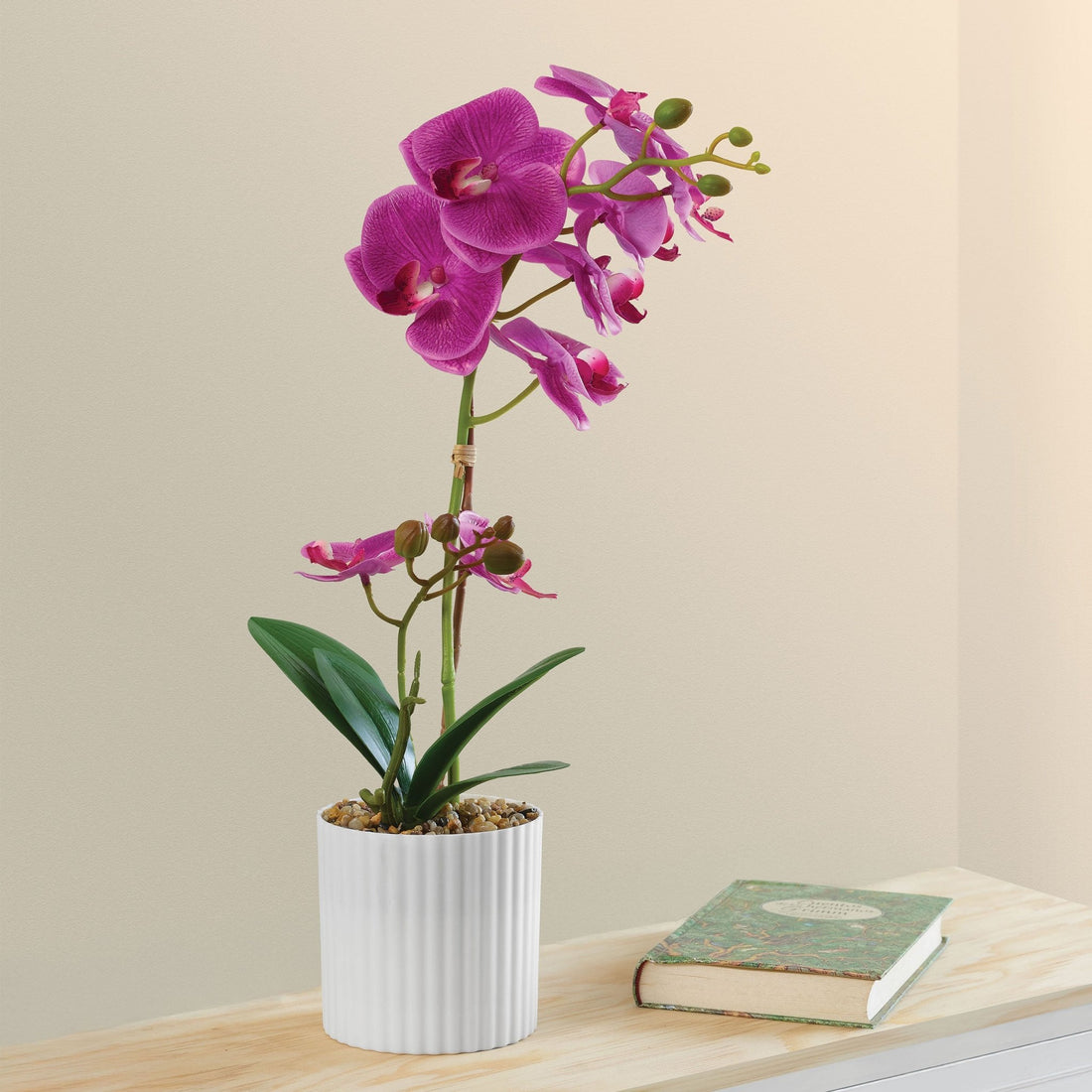 Deco Orquídea Purpura