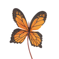 Lumi Mariposas Monarca