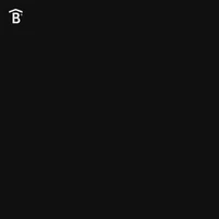Bandas B Force