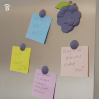 Deco Imán Uvitas