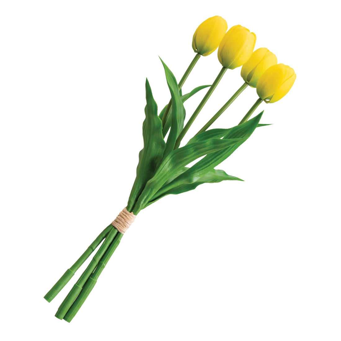 Set Deco Tulipanes