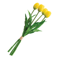 Set Deco Tulipanes