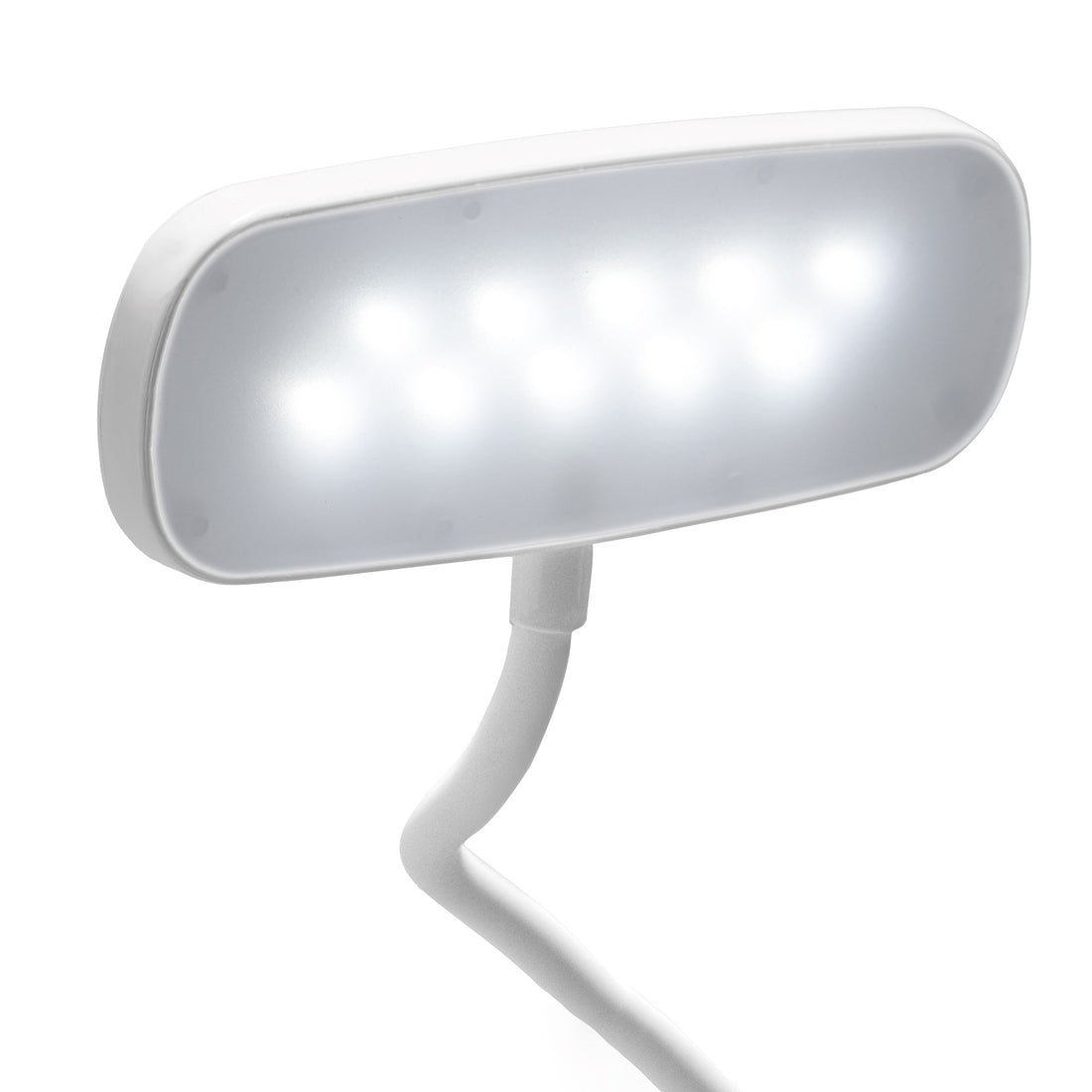 Organi Lamp