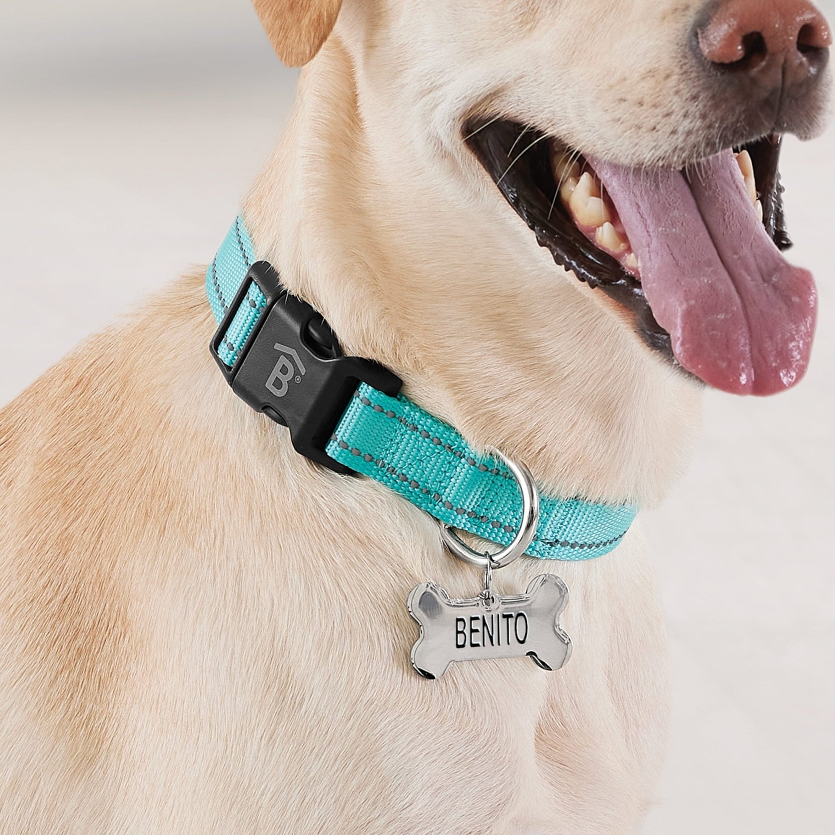 Collar Reflect – Betterware