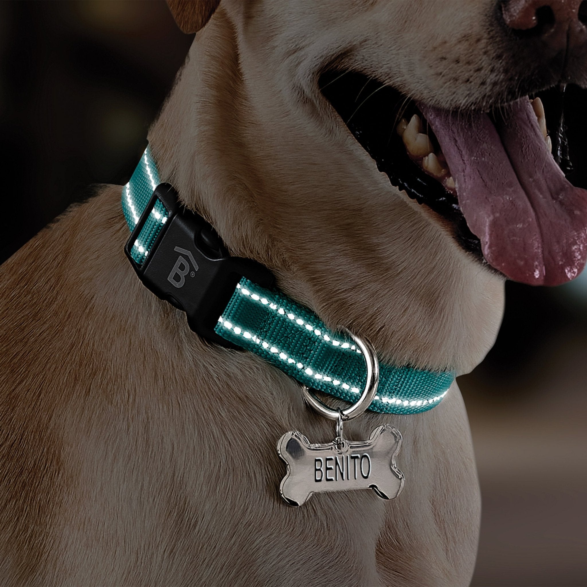 Collar Reflect – Betterware
