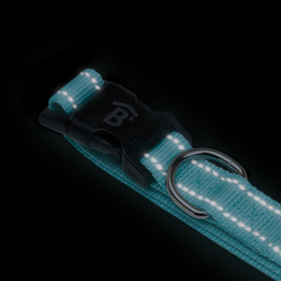Collar Reflect – Betterware