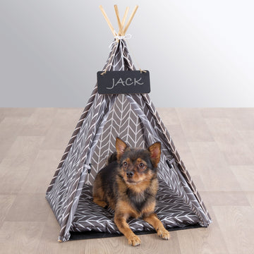 Tipi Mascota