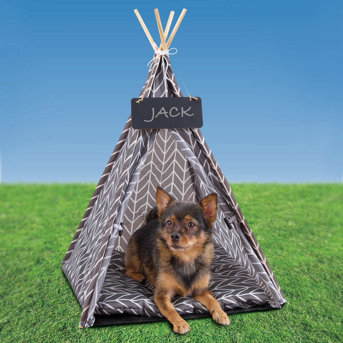 Tipi Mascota