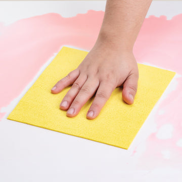 Trapos Absorbe Max (6 pzas)