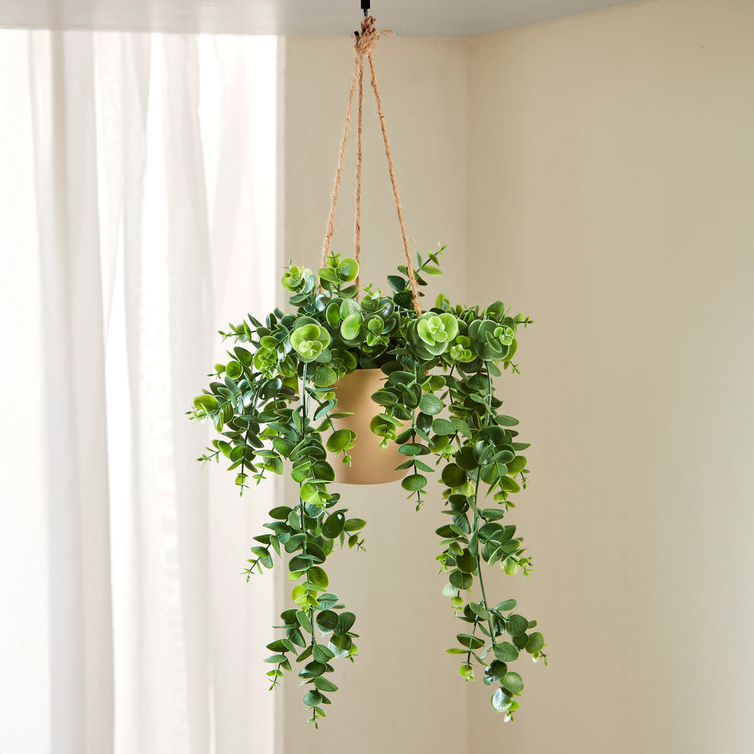 Deco Planta Aura