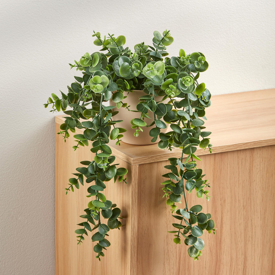 Deco Planta Aura