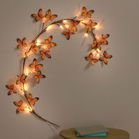 Lumi Mariposas Monarca