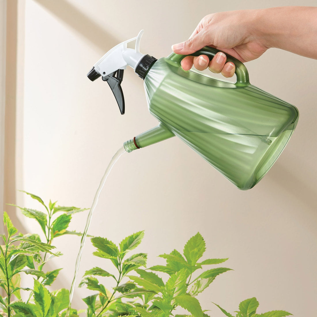 Riega Spray Pro