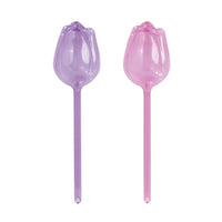 Set Tulipán Riega Fácil