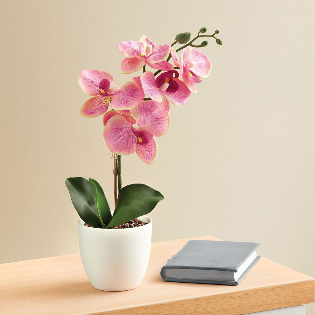 Deco Orquidea Coral