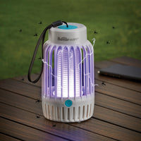Insectos Shock