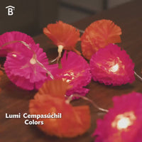 Lumi Cempasúchil Colors