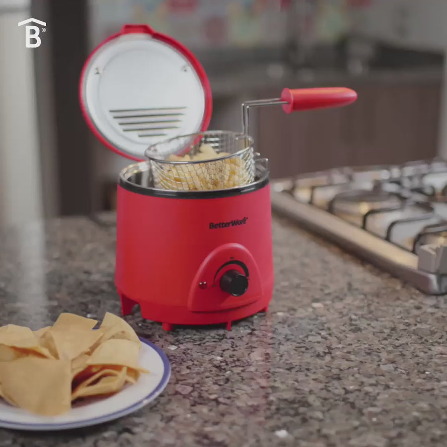 Deli Fryer