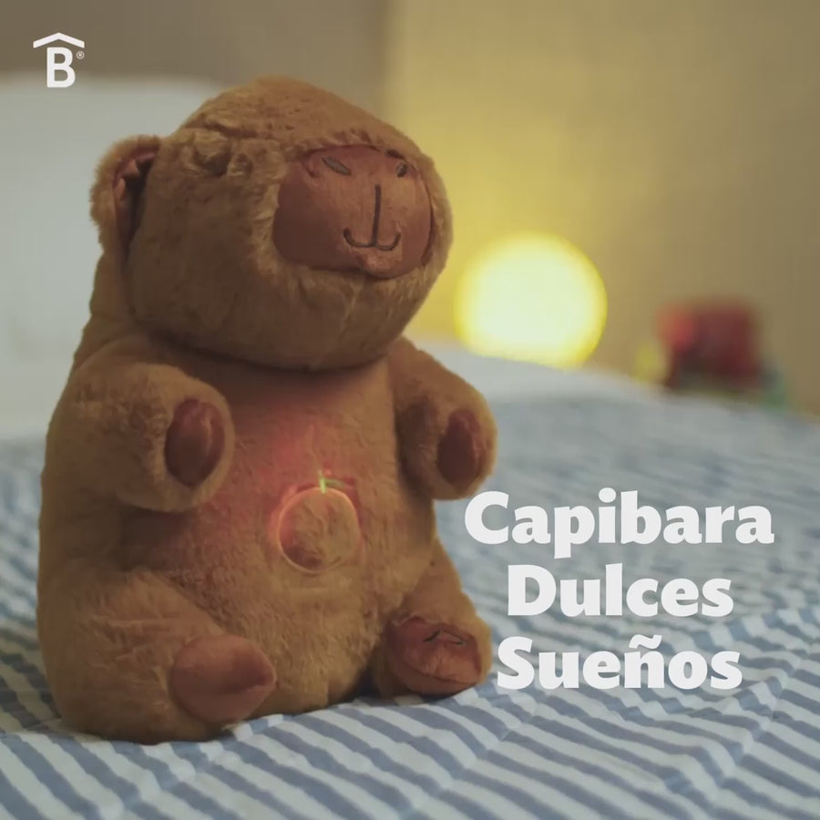 Capibara Dulces Sueños